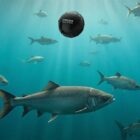 8e92492ea6b546d44e0b05e7ebf020e0