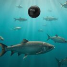 8dd7246d6d5b4b8b00028285001166ab